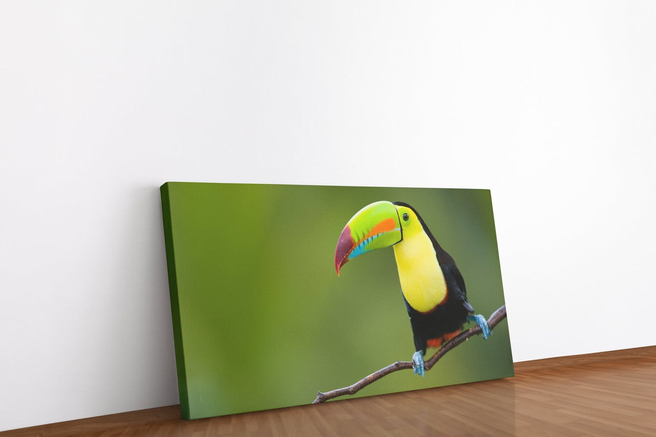 shutterstock_57453022lyt8vdtZVmmIb_1280x1280.jpg