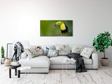 shutterstock_57453022mMoJQpKCBQiN0_1280x1280.jpg
