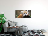 shutterstock_5776617222HNlyAp7nqLi4_1280x1280.jpg