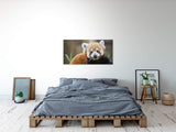 shutterstock_577661722srscD5ImaY2Xu_1280x1280.jpg