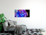 shutterstock_5874233519fnhDGAJO5M2i_1280x1280.jpg
