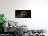 shutterstock_59213800728lVAP5InjsUG_1280x1280.jpg