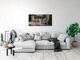 shutterstock_60081796BZdlvLPvLGLGg_1280x1280.jpg