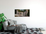 shutterstock_60081796hlC4G7W5TCUd7_1280x1280.jpg