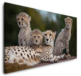 shutterstock_60081796ofSanHlyyNFIn_1280x1280.jpg