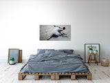 shutterstock_602748458W0dPTSuCfzzJQ_1280x1280.jpg