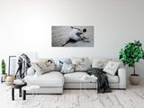 shutterstock_602748458is0l5ivmyRdKB_1280x1280.jpg