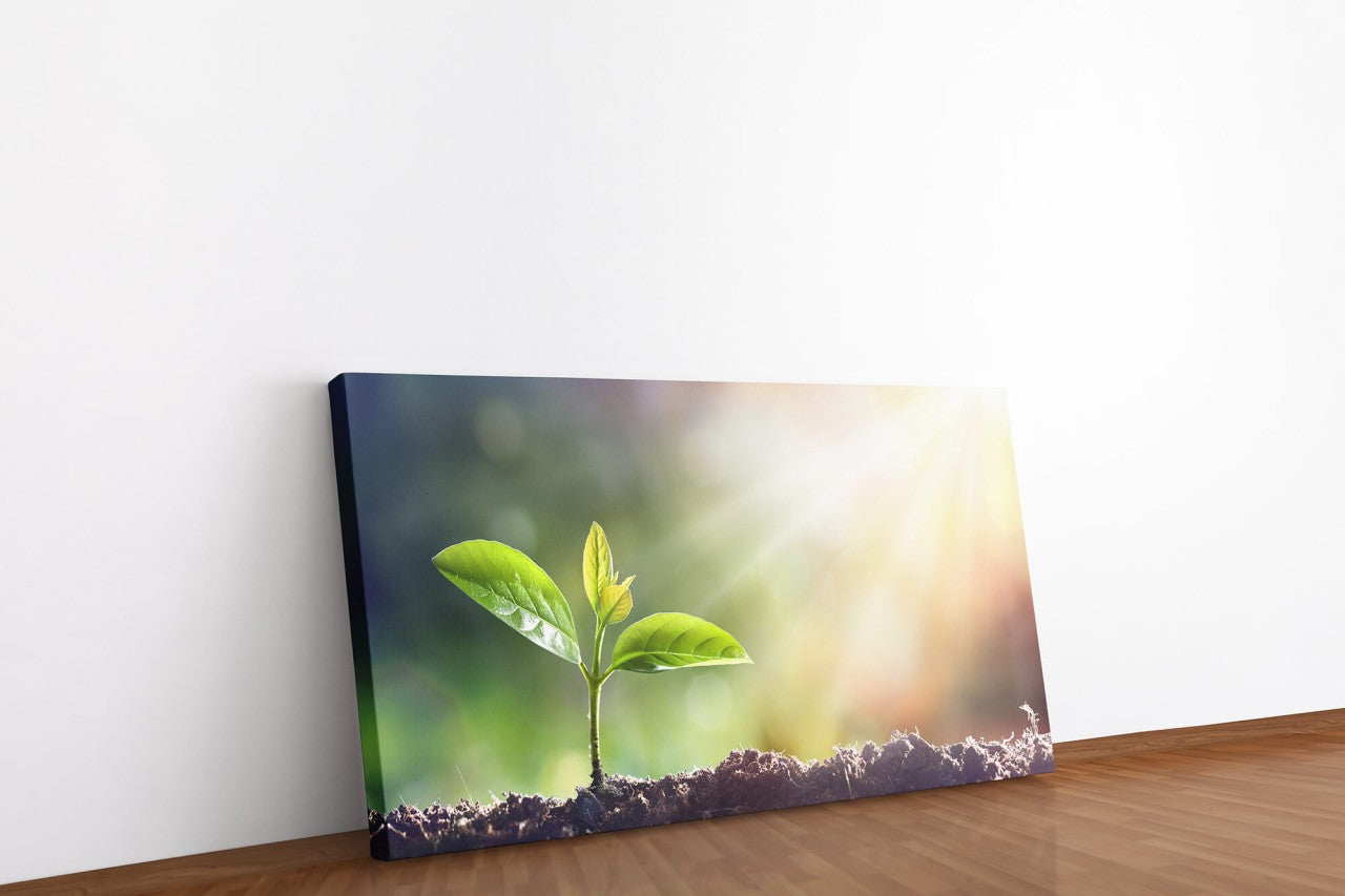 shutterstock_609086588bQtjaVcsp07Br_1280x1280.jpg