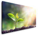 shutterstock_609086588ca7YyrRmnoaGP_1280x1280.jpg