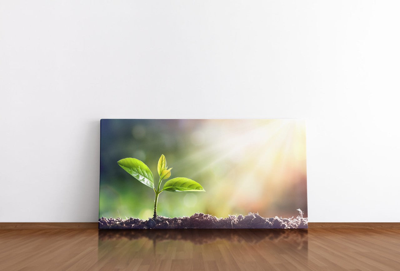 shutterstock_609086588sNDayLx1sJ9Tj_1280x1280.jpg