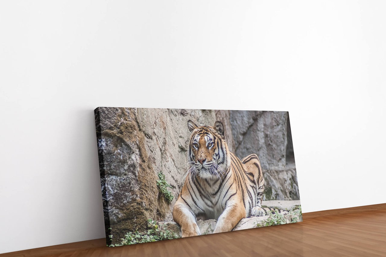 shutterstock_613180241D5rGzF3tlagDG_1280x1280.jpg