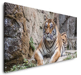 shutterstock_613180241WJctMzoYfflbn_1280x1280.jpg