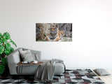 shutterstock_613180241n9uo1XejhxwC1_1280x1280.jpg