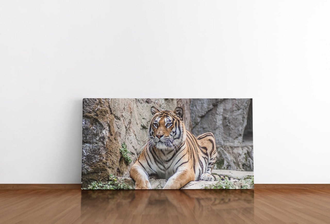 shutterstock_613180241qXy5CiEp5AwqW_1280x1280.jpg