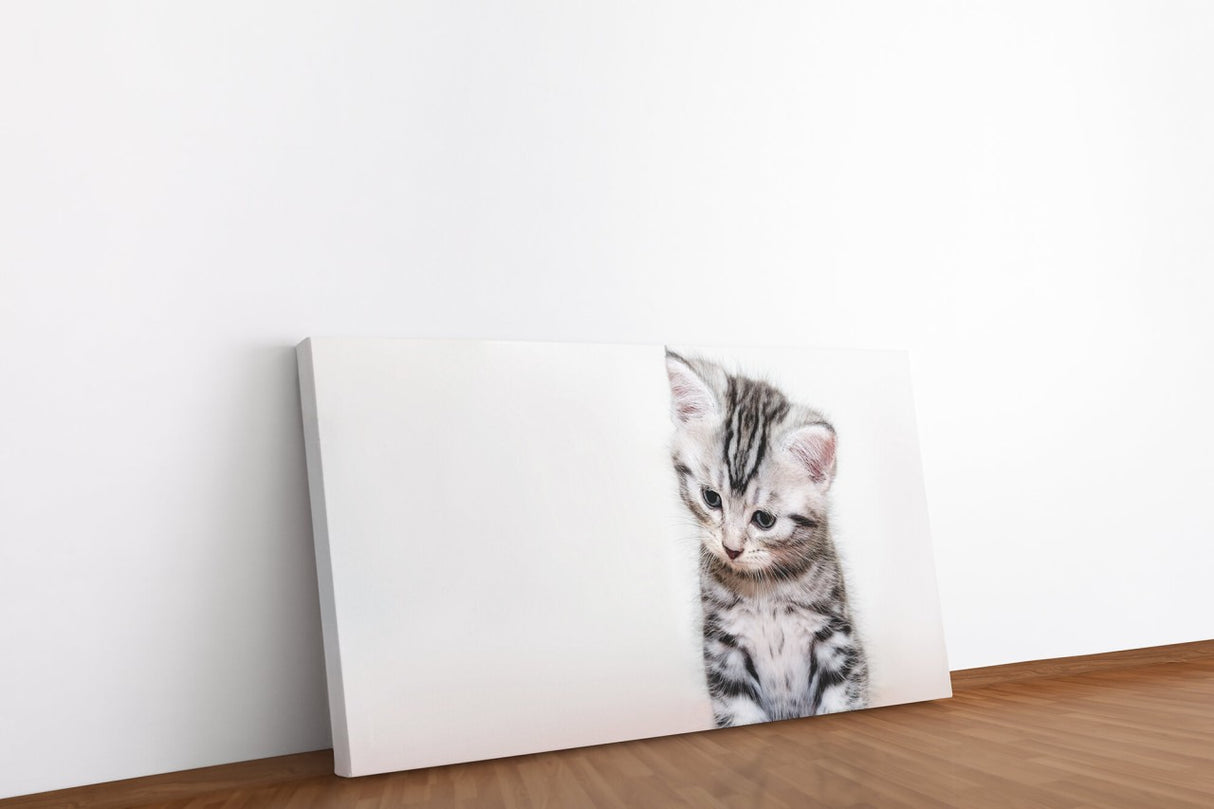 shutterstock_624066089SqxgulDeLO751_1280x1280.jpg
