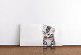 shutterstock_624066089uRskbtokbpejm_1280x1280.jpg