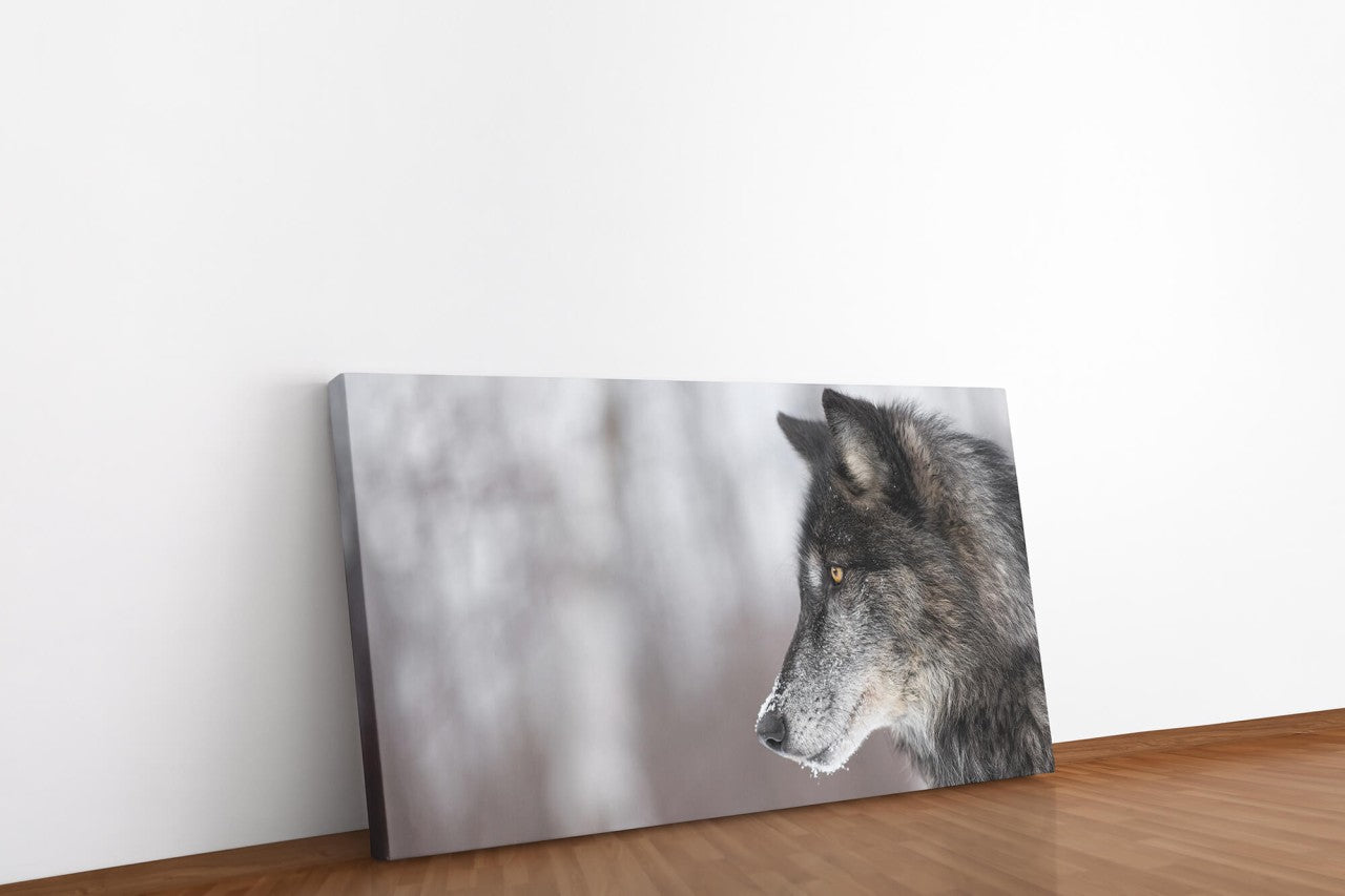 shutterstock_630052394sEnLtMl5cN8n3_1280x1280.jpg