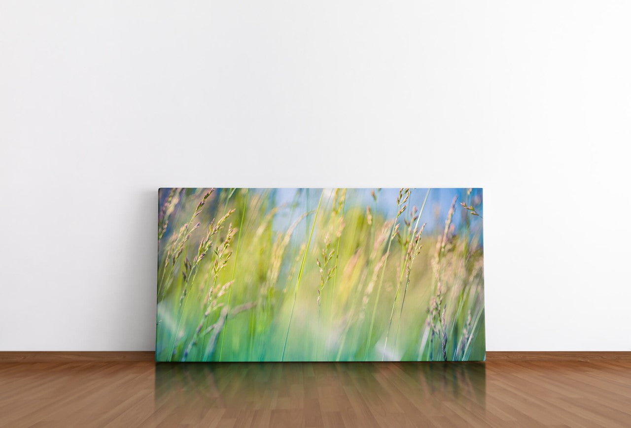 shutterstock_649129204GljnxG8CzSvBq_1280x1280.jpg