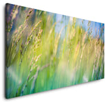 shutterstock_649129204NyFutSSgv9WV7_1280x1280.jpg