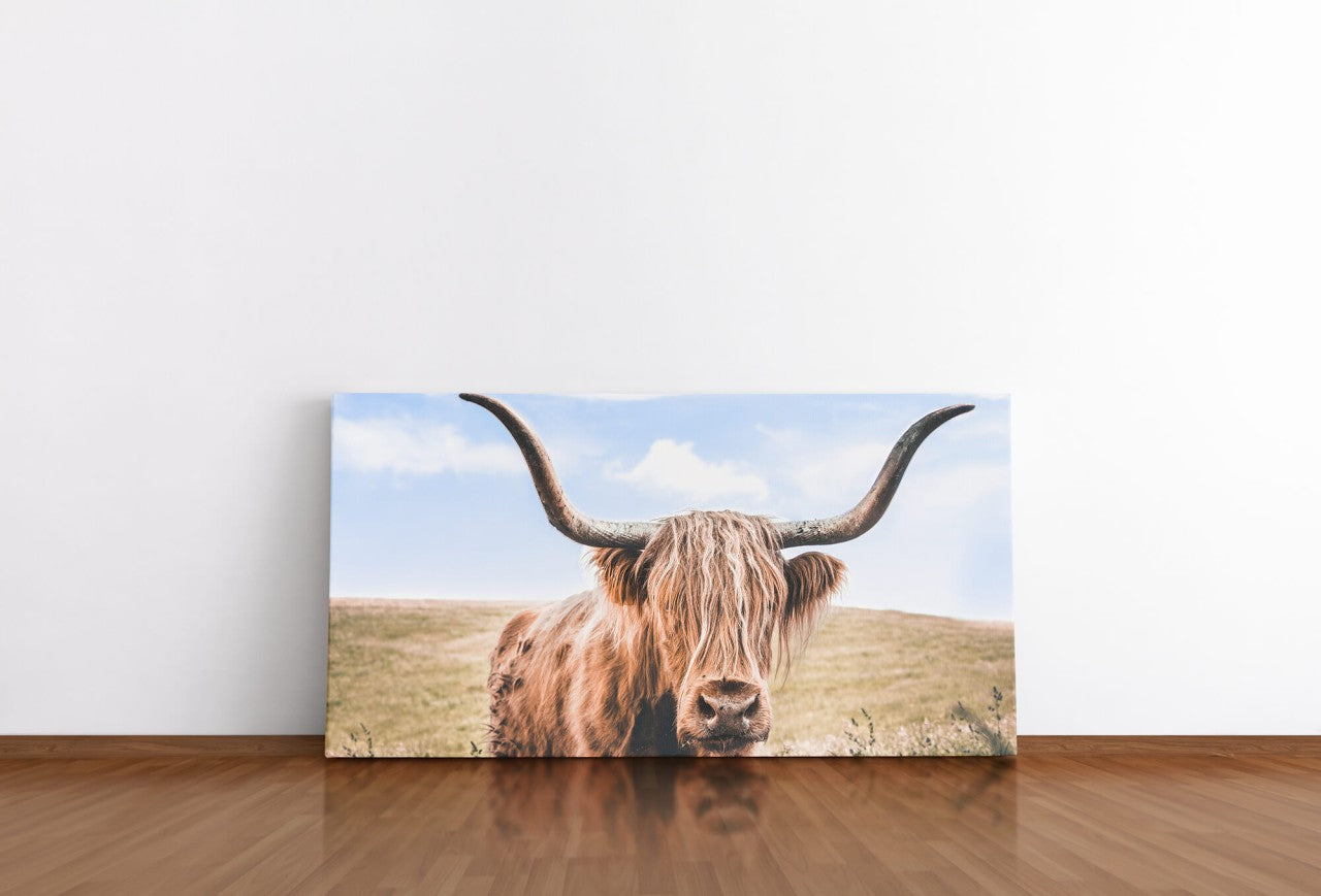 shutterstock_653372059Rs1hjjymrQ2xn_1280x1280.jpg