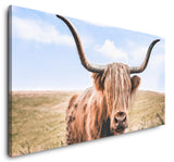 shutterstock_653372059Yr7CI6fdiI32P_1280x1280.jpg