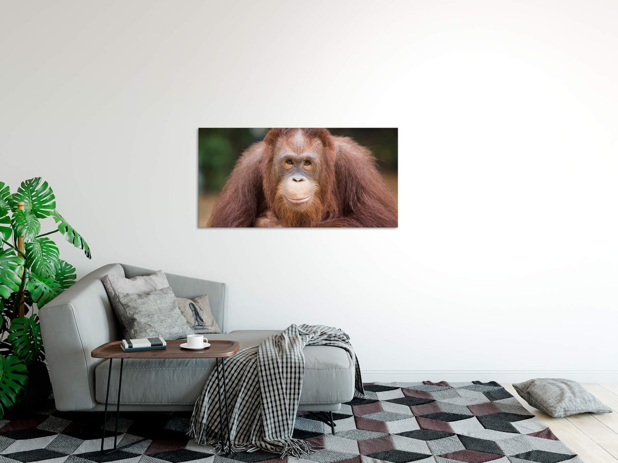 shutterstock_664748389VNo2vwLZZgCXq_1280x1280.jpg