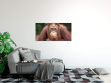 shutterstock_664748389VNo2vwLZZgCXq_1280x1280.jpg