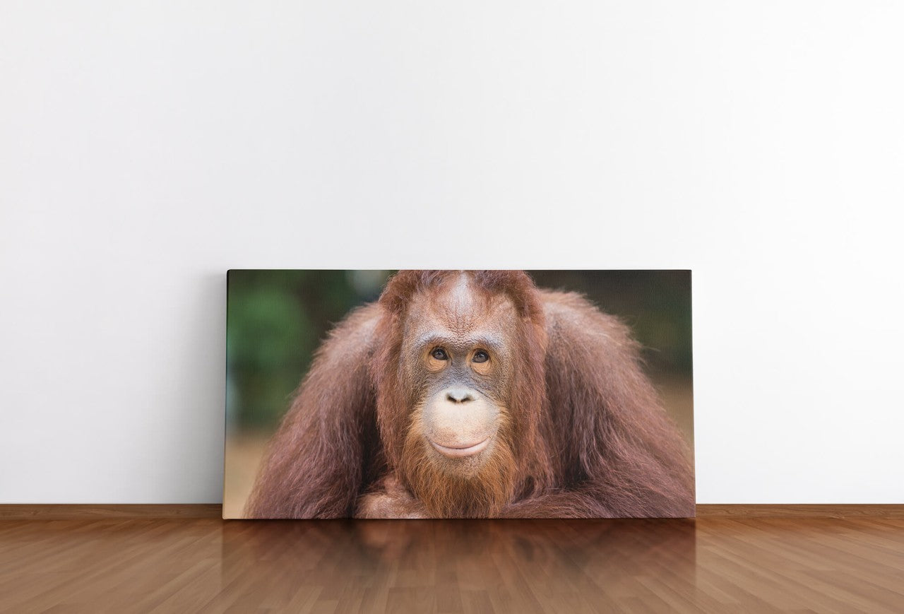 shutterstock_664748389dbutwvUGIIHOG_1280x1280.jpg