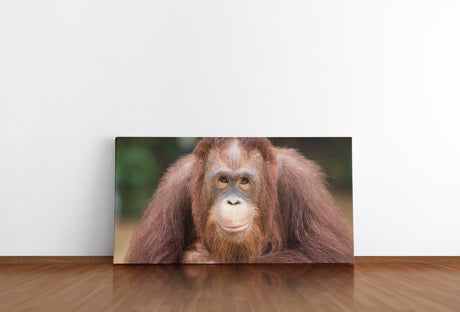 shutterstock_664748389dbutwvUGIIHOG_1280x1280.jpg