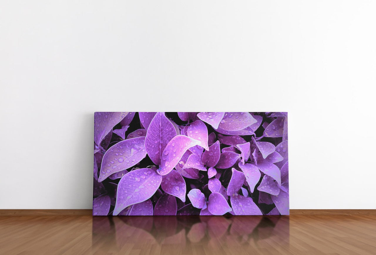 shutterstock_668545864Nc1LDT0cUW6xS_1280x1280.jpg