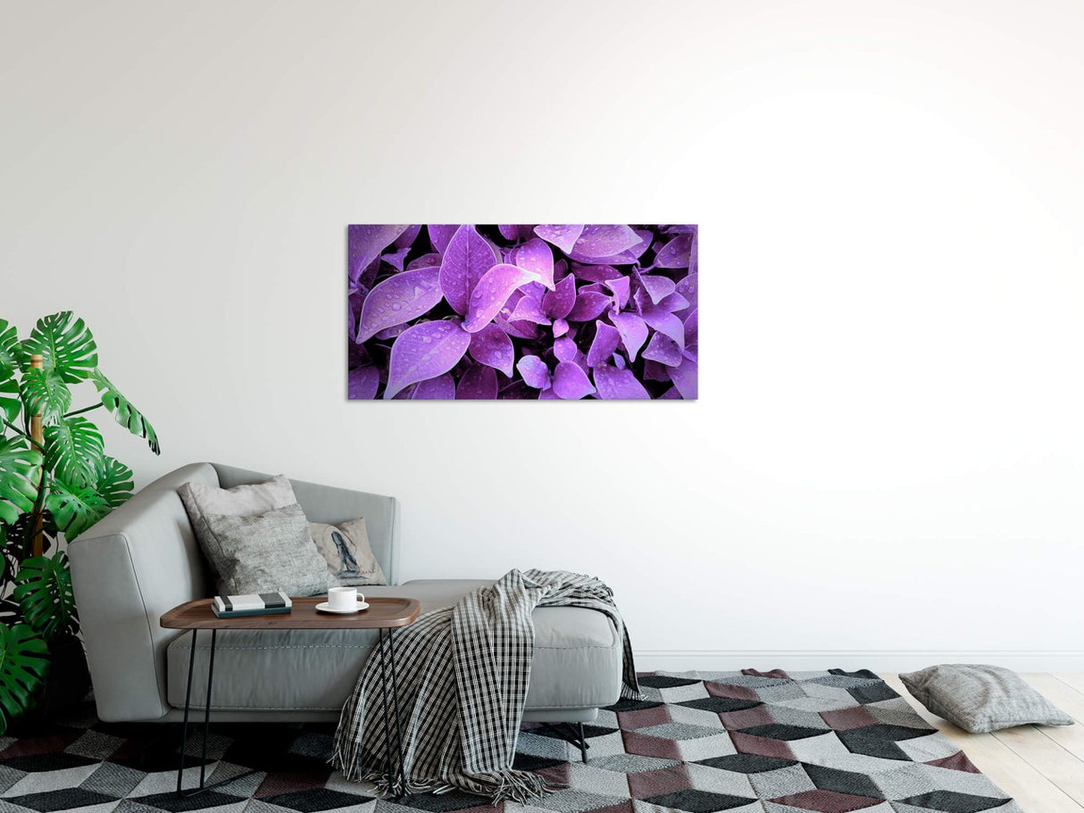 shutterstock_668545864smdZo8hvs5kFS_1280x1280.jpg