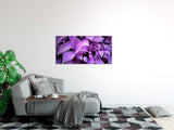 shutterstock_668545864smdZo8hvs5kFS_1280x1280.jpg