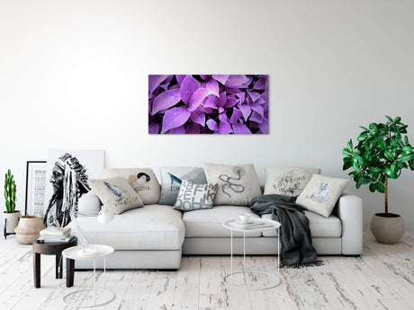 shutterstock_668545864tE4wLk75Kd7g7_1280x1280.jpg