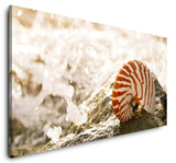 shutterstock_674900266kSMZTDTWHFY0N_1280x1280.jpg