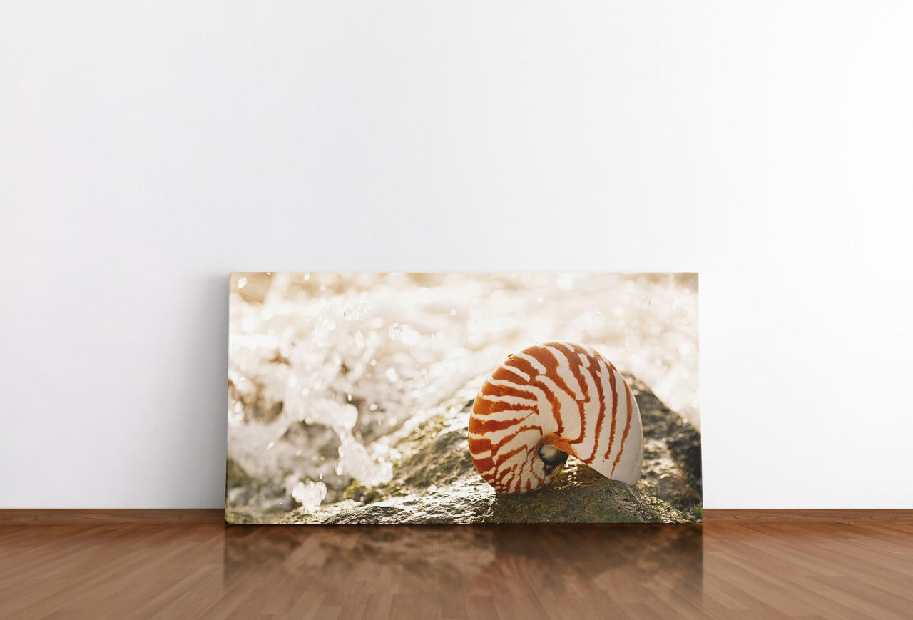 shutterstock_674900266z5ee0M1Q46zlI_1280x1280.jpg