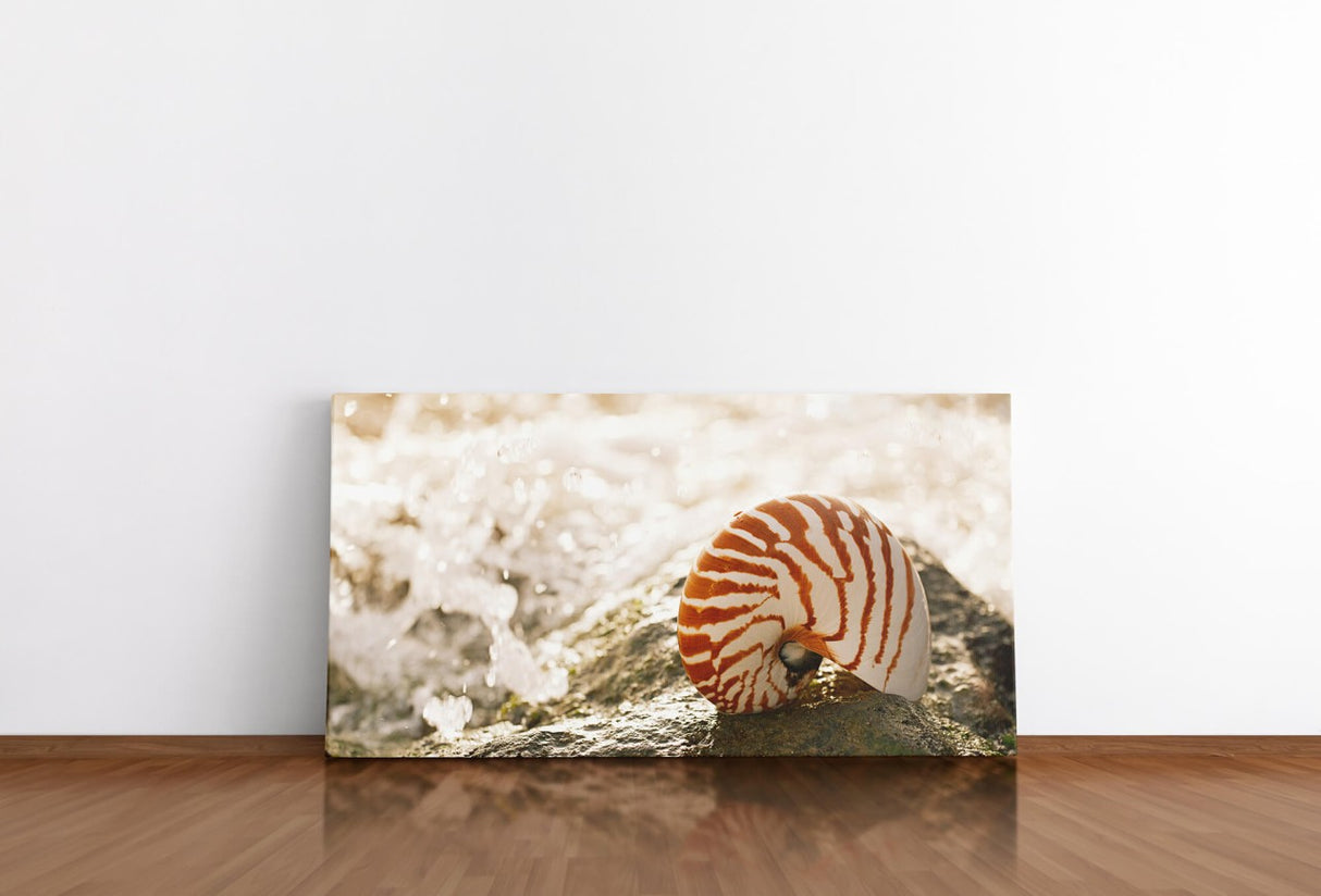 shutterstock_674900266z5ee0M1Q46zlI_1280x1280.jpg