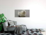 shutterstock_681142018L9Xiy7lT6R4He_1280x1280.jpg