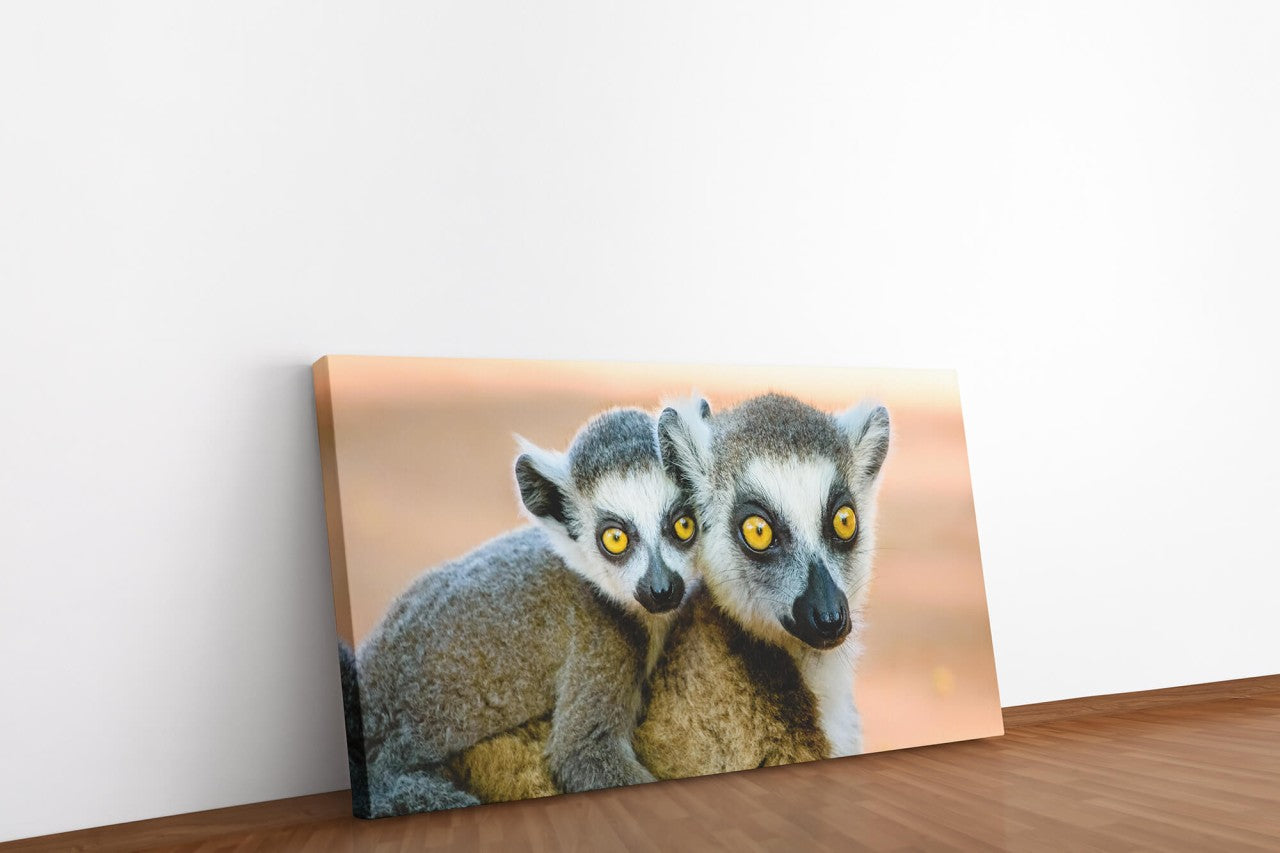 shutterstock_685830529AOWC4LqVabZ36_1280x1280.jpg