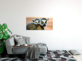shutterstock_685830529JdxwcUYdmav0z_1280x1280.jpg