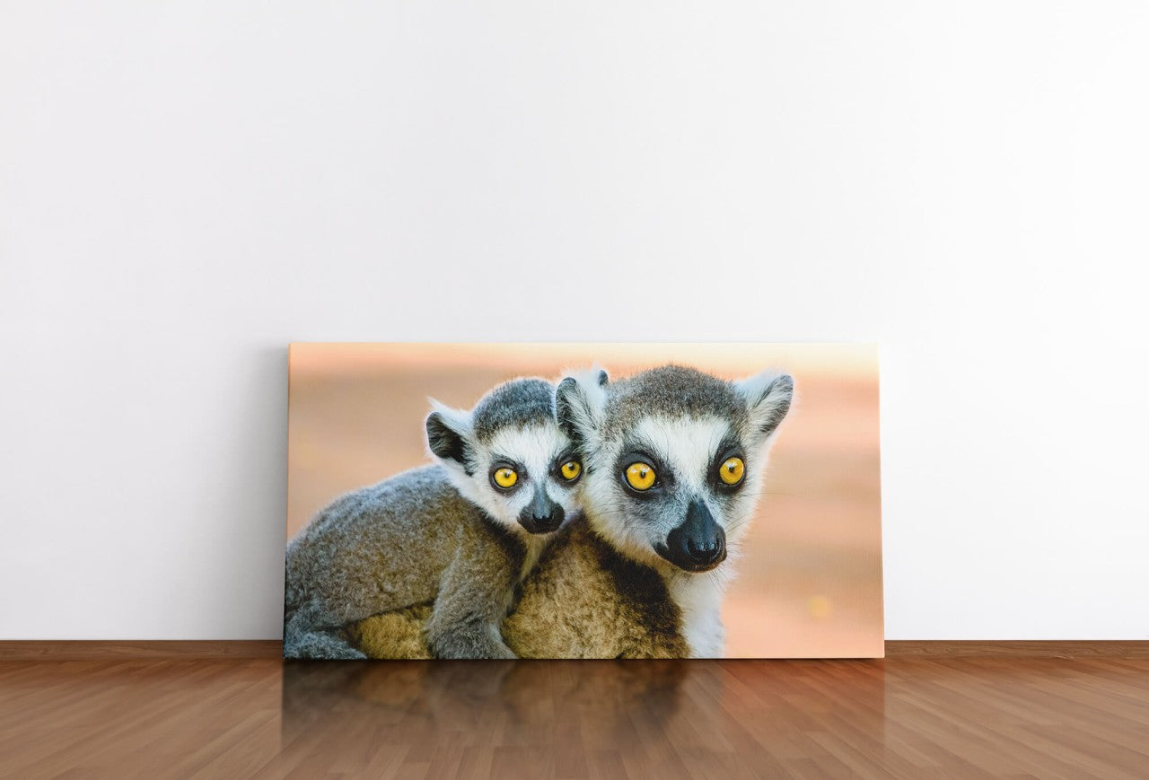shutterstock_685830529VdfCWsd7U06bT_1280x1280.jpg