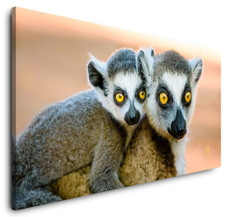 shutterstock_685830529xsmqiCcdeC4IJ_1280x1280.jpg