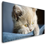 shutterstock_686946274bhwAMAPt4rAOP_1280x1280.jpg