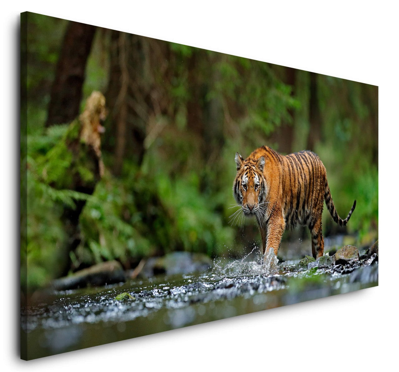 shutterstock_694592521EOfBMSheVdt2F_1280x1280.jpg