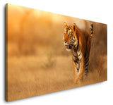 shutterstock_696476371n3eSeaqYJEcpP_1280x1280.jpg