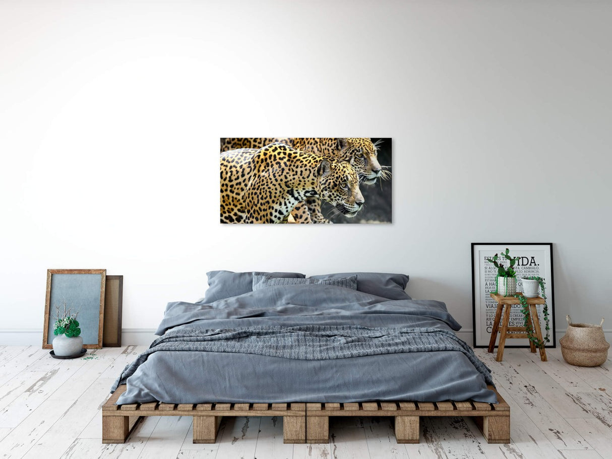 shutterstock_7148329334AfH8Gvb2rFdZ_1280x1280.jpg