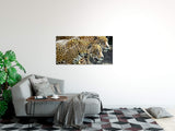 shutterstock_7148329339qdpOh8Dd6N0u_1280x1280.jpg