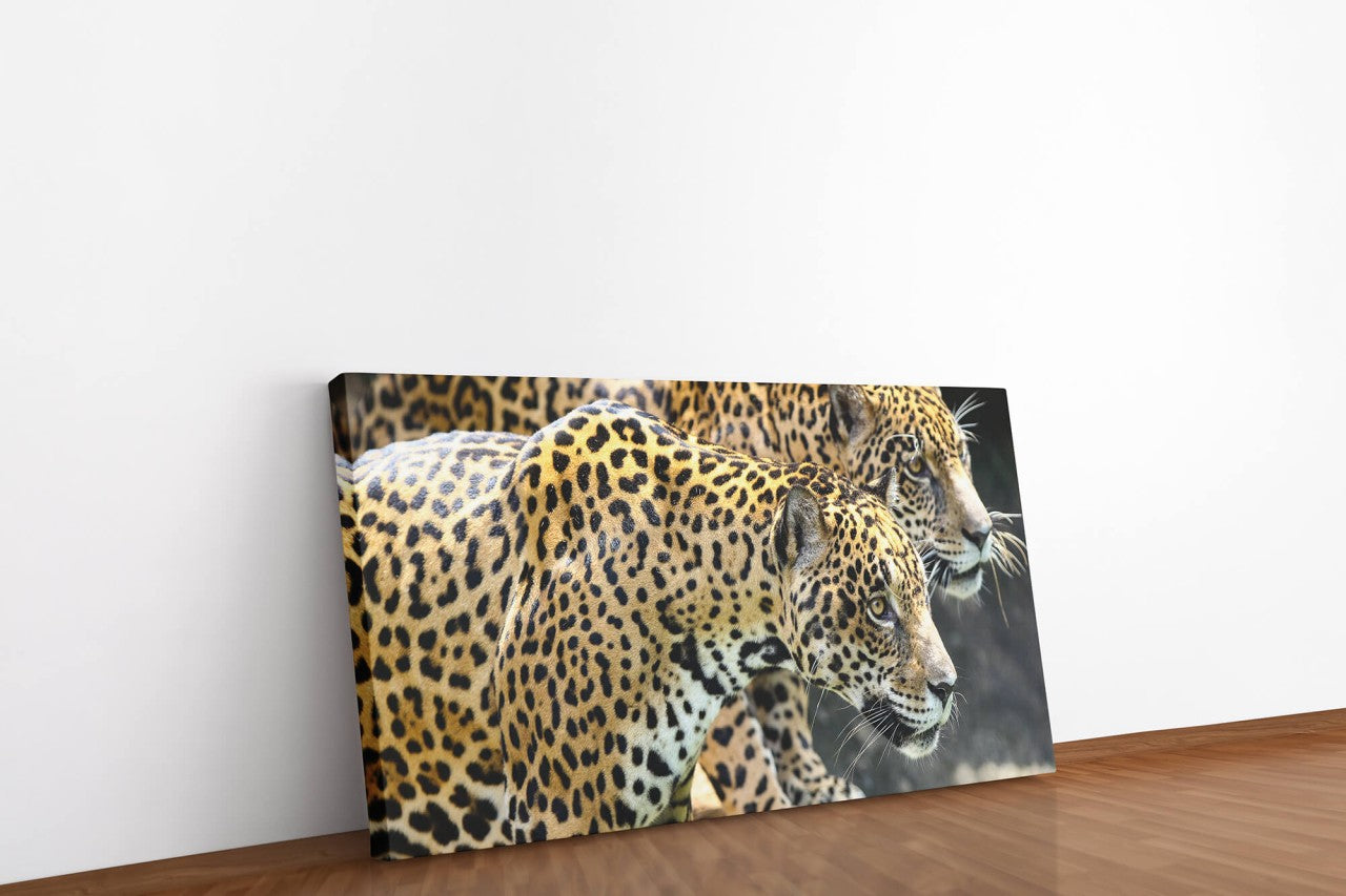 shutterstock_714832933G6JGMLt3OGhVk_1280x1280.jpg
