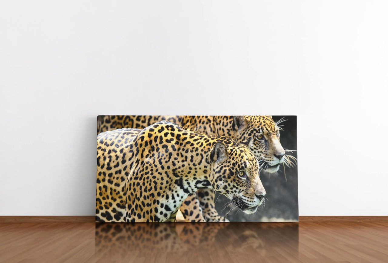 shutterstock_714832933kledmmQ9fTi8M_1280x1280.jpg