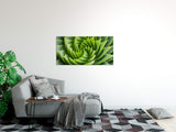 shutterstock_7196527129G3uwG9OrzLdp_1280x1280.jpg