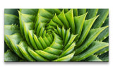 shutterstock_719652712_1280x1280.jpg